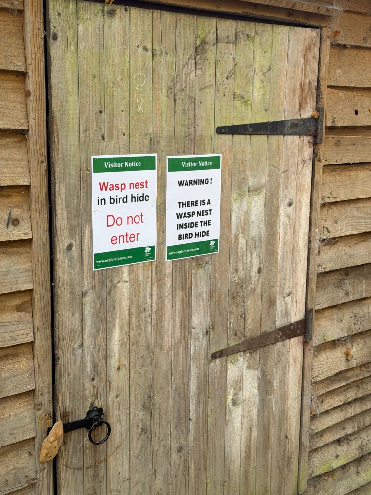Two almost identical sights side by side, warning that the bird hide is closed. It contains a wasps nest