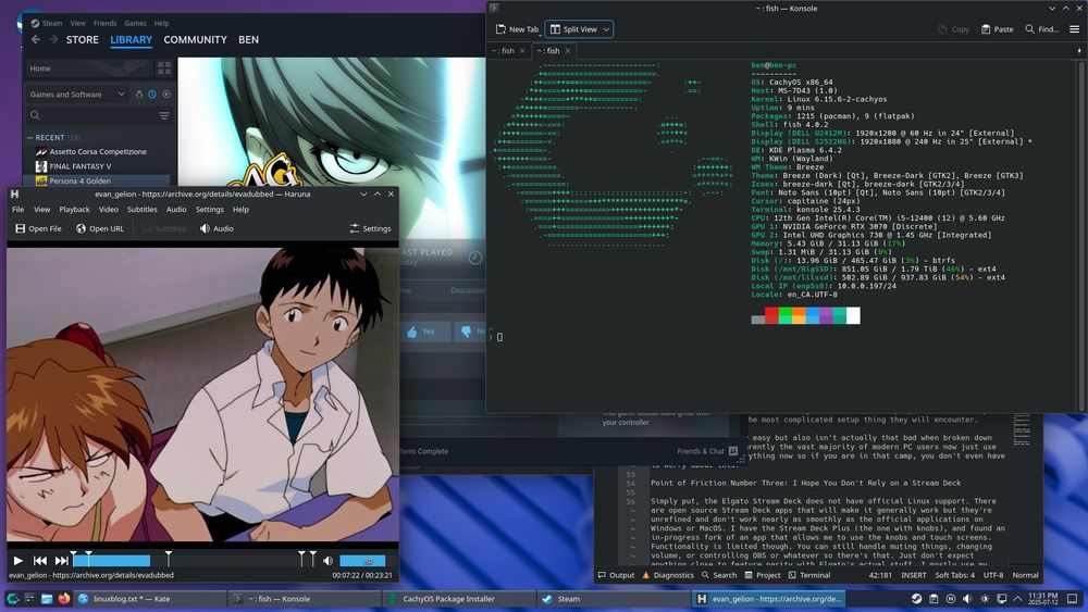 A screenshot of a person using Linux to run games and other applications on their personal computer. 