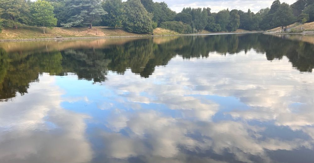 A reflection of a blue aky ina lake surrounded by trees 