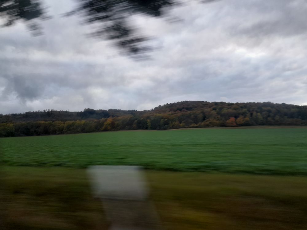 Ein Leitpfosten, ein grünes Feld, ein herbstlich verfärbter Wald, ein bewölkter Himmel. Alles von der Vorbeifahrt verwischt.