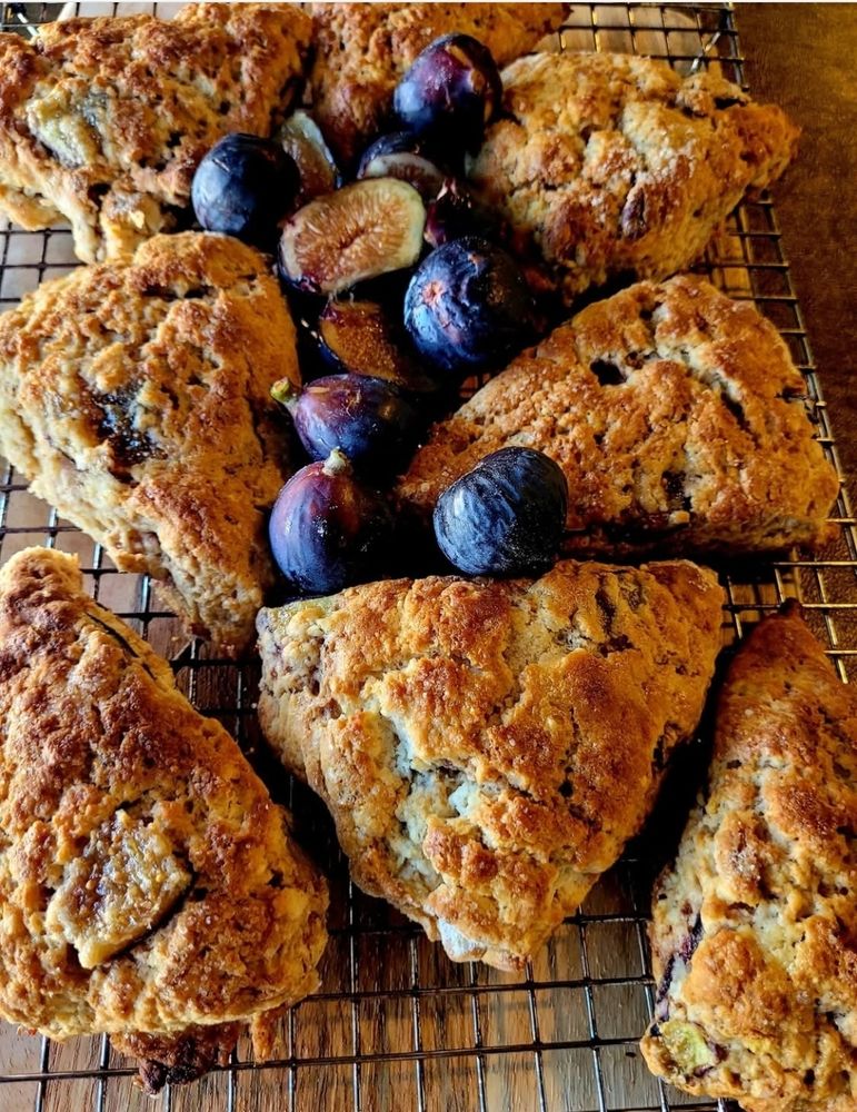 Fresh fig and walnut scones with fresh purple figs scattered according the top.