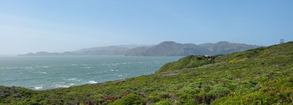 A green hillside showing a number of grasses and foliage capable of living on/near the ocean's edge in the foreground, the Pacific Ocean on the left side starting at middle ground and continuing off to the horizon. The northern part of the San Francisco Bay is visible in the distance, along with the very top of one of the supports of the Golden Gate Bridge.