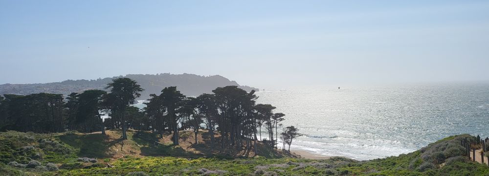 A green hillside with grass/foliage in the foreground, some trees on the left half of the photo in the middle ground, the Pacific Ocean on the right side in the background, the sun reflecting off water and waves.
