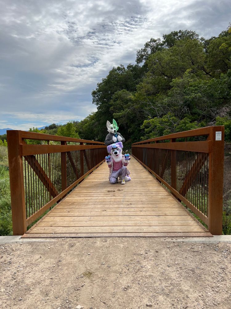 Kona and Sly posing on a bridge in the canyon.