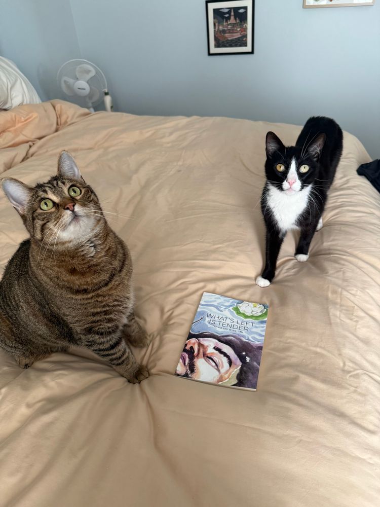 Large orange tabby cat and skinny tuxedo looking skyward. In the foreground is Travis Chi Wing Lau’s poetry collection, WHAT’S LEFT IS TENDER