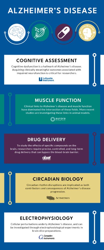 Lafayette Brand Infographic