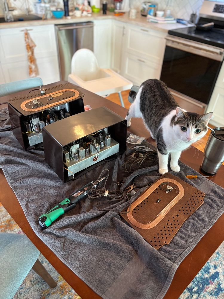 Two GE model 408 radios partially disassembled on a dining room table. There’s a grey & white cat looking like he wants to start trouble. 