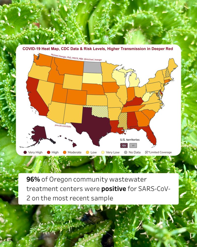 Two screenshots against a photo of a green spiky plant. The first is a map of the US showing COVID transmission, with states colored pale yellow to maroon depending on severity. Oregon is sunflower yellow, which means “Low”. The second is text that reads, “96% of Oregon community wastewater treatment centers were positive for SARS-CoV-2 on the most recent sample.”