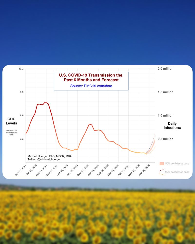Another screenshot against a photo of a sunflower field. It shows a line graph of COVID-19 transmission in the last 6 months, plus a forecast. Transmission is slowing down just a touch, with a forecast to go up sharply through the next month.