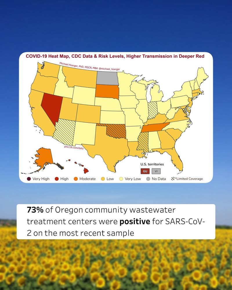 Two screenshots against a background of a sunflower field. The first is a map of the US showing COVID transmission, with states colored pale yellow to maroon depending on severity. Oregon is sunflower yellow, which means “Low”. The second is text that reads, “73% of Oregon community wastewater treatment centers were positive for SARS-CoV-2 on the most recent sample.”