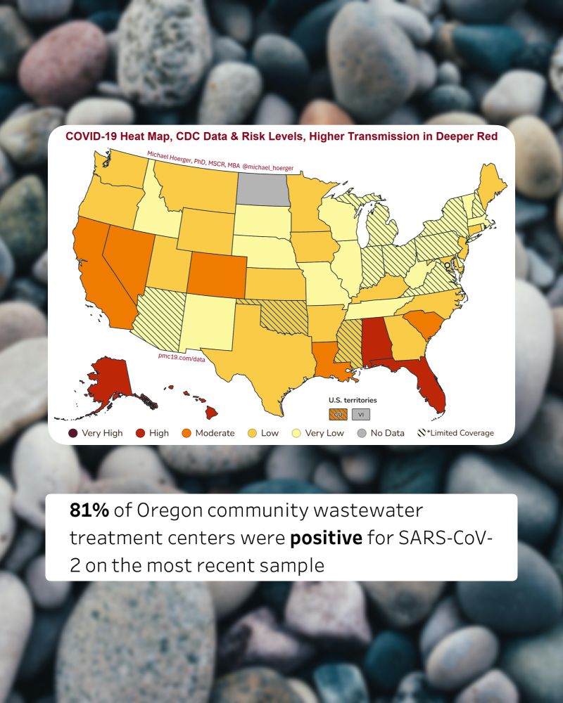 Two screenshots against a background of rocks. The first is a map of the US showing COVID transmission, with states colored pale yellow to maroon depending on severity. Oregon is sunflower yellow, which means “Low”. The second is text that reads, “81% of Oregon community wastewater treatment centers were positive for SARS-CoV-2 on the most recent sample.”