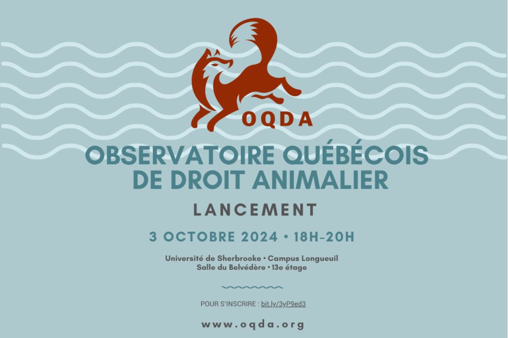 Lancement de l’Observatoire québécois de droit animalier (OQDA)