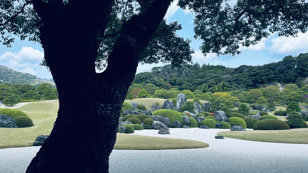 窓から見た庭園の景色　手前に渋くて印象的な大木がある