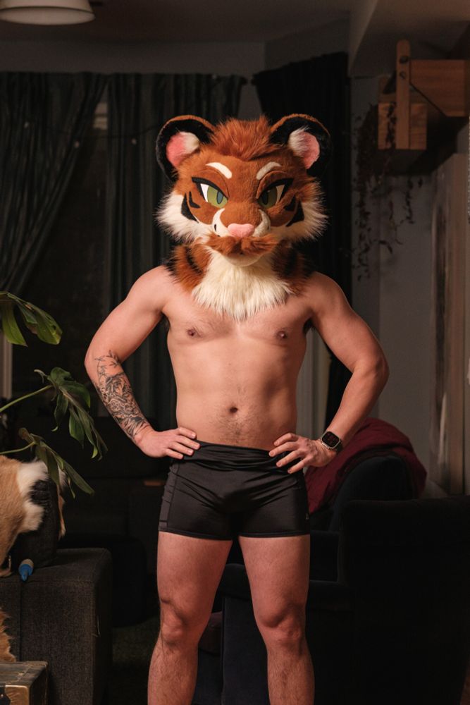 Topless dude in a tiger fursuit head poses showing off some muscles. 