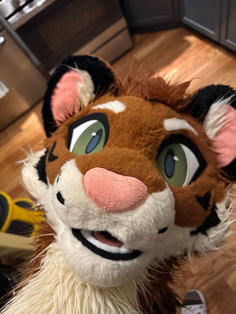 Sopping wet, scrungly-ass looking fursuit head fresh out of the washing machine. 