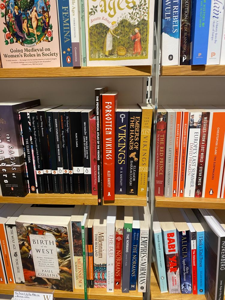 Forgotten Vikings in a bookshelf