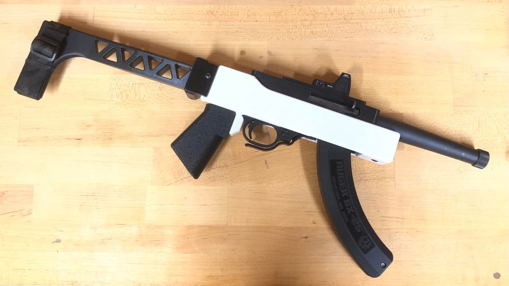 A random ruger 10/22 build off reddit