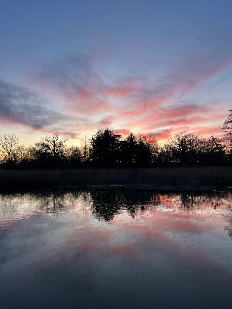 a sunset over water in Forest Park in late January. Most of the trees are still bare, branches reaching upwards without leaves, but the evergreens form solid silhouettes against a sky that is blue, pink, and white. As above, so is below as the lake reflects back the sky and tree line with vivid color.