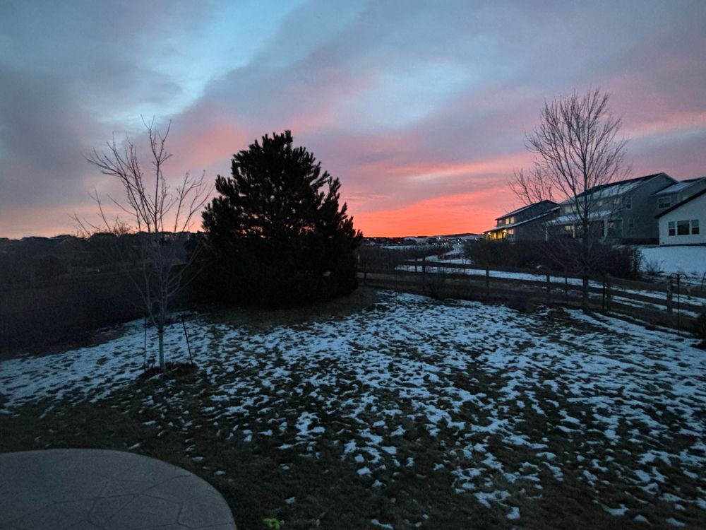 Sunrise with pine tree and snow-covered grass in the foreground 