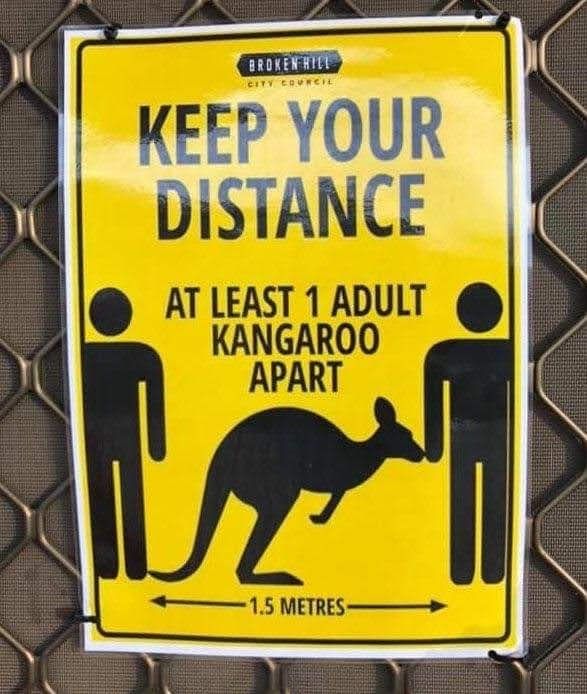at least 1 kangaroo of distance between us all 