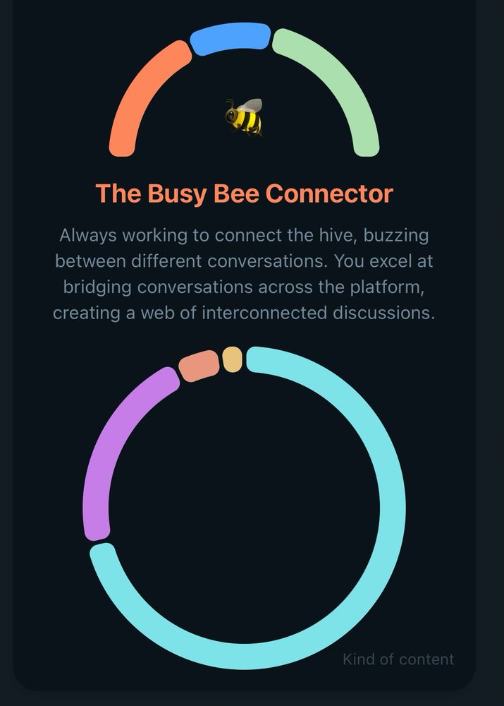 Text reads: You’re The Busy Bee Connectors. Always working to connect the hive, buzzing between different conversations. You excel at bridging conversations across the platform, creating a web of interconnected discussions. 