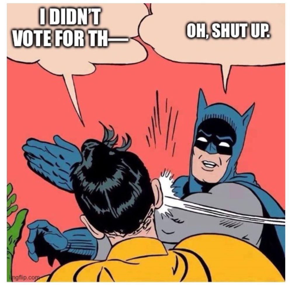 Robin, with his back to the reader, says “I didn’t vote for thi—“ as Batman snacks sense into him and says “oh, shut up!”