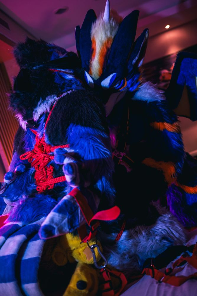 dragon fursuit