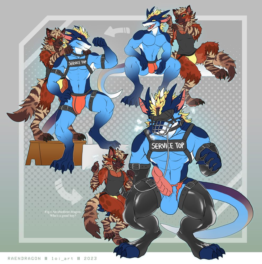 dragon muscle growth sequence