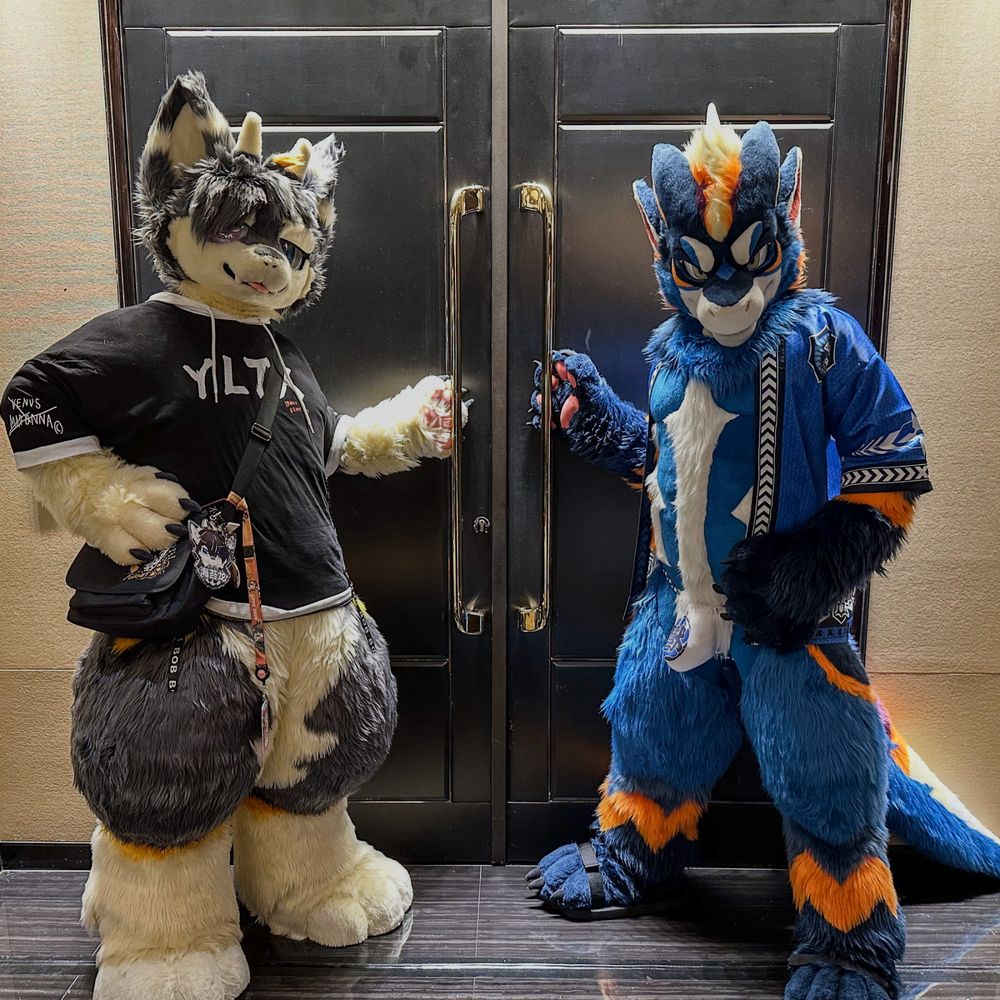 dragon fursuit