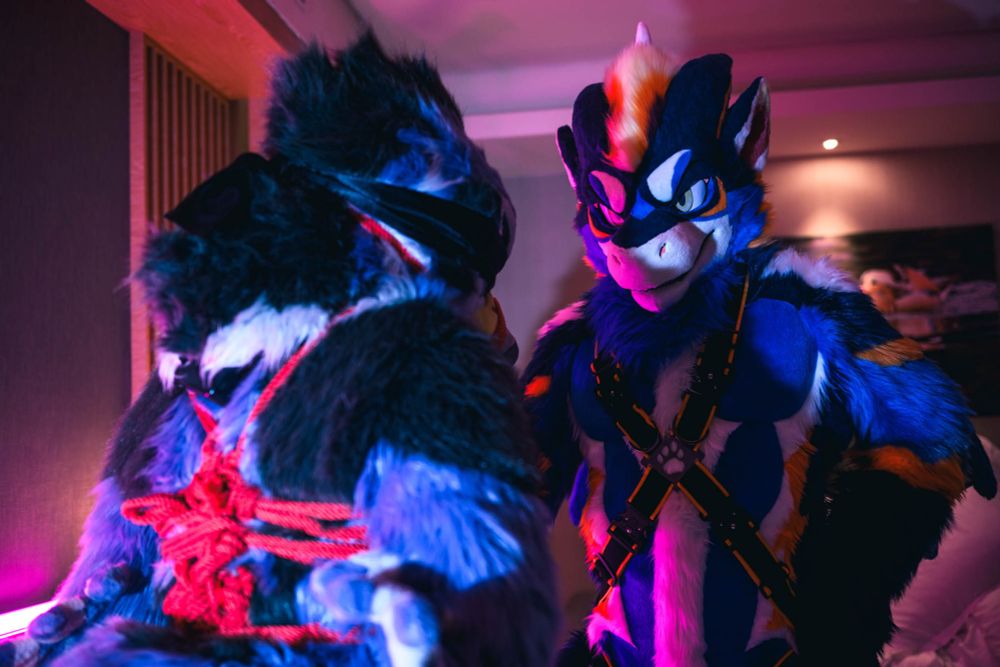 dragon fursuit
