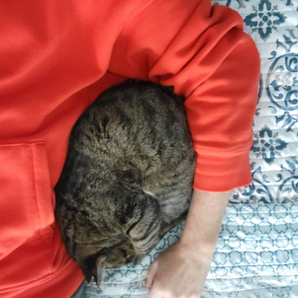 Pic of my cat Snug napping with me under my left arm. 