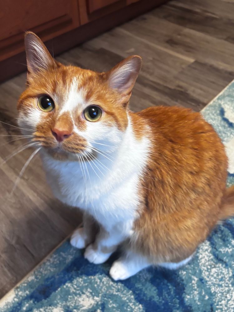Handsomest 🍊 saying good morning