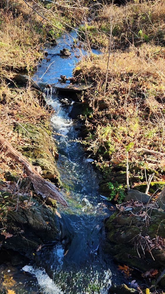 A narrow creek 
