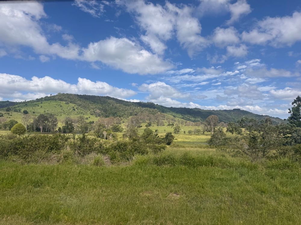 Green hills and blue sky with some fluffy clouds, eucalyptus trees