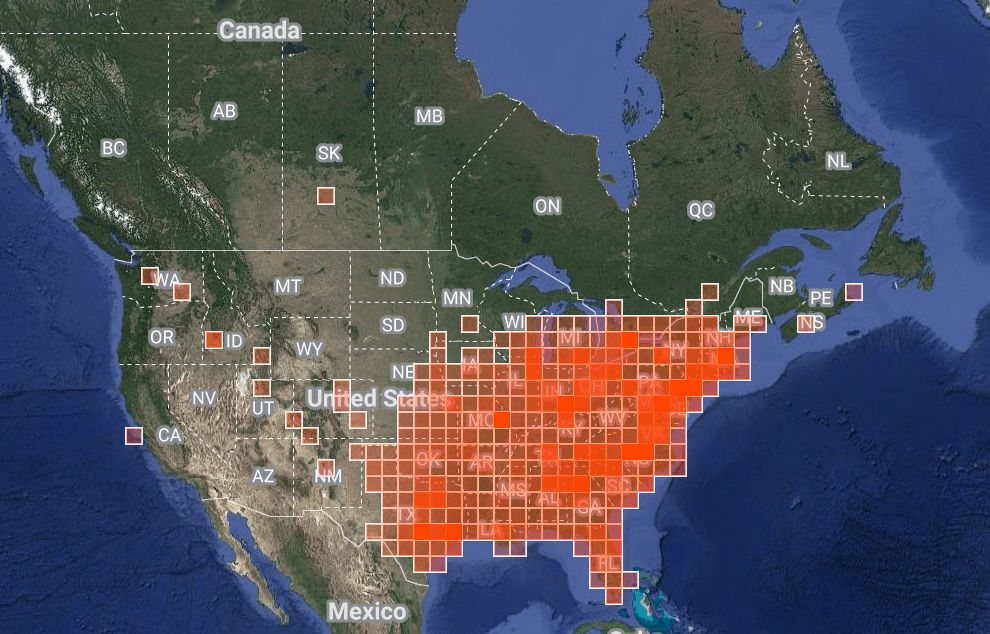 Map of North America showing distribution of sightings of eastern carpenter bee. The concentration is in the eastern USA with a few outliers, including one in southern Saskatchewan.