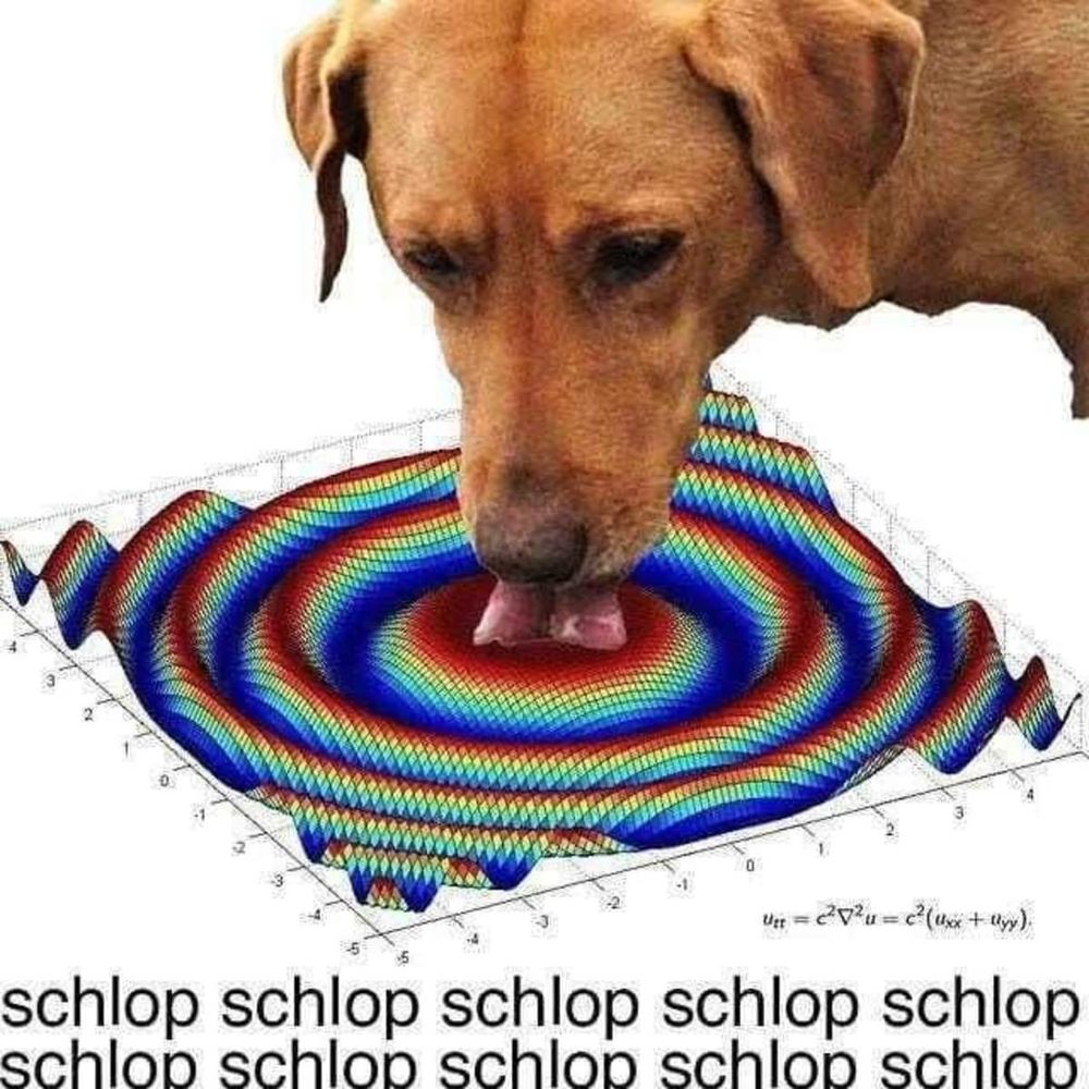 Dog slurping water in a plot of a 3D wave equation