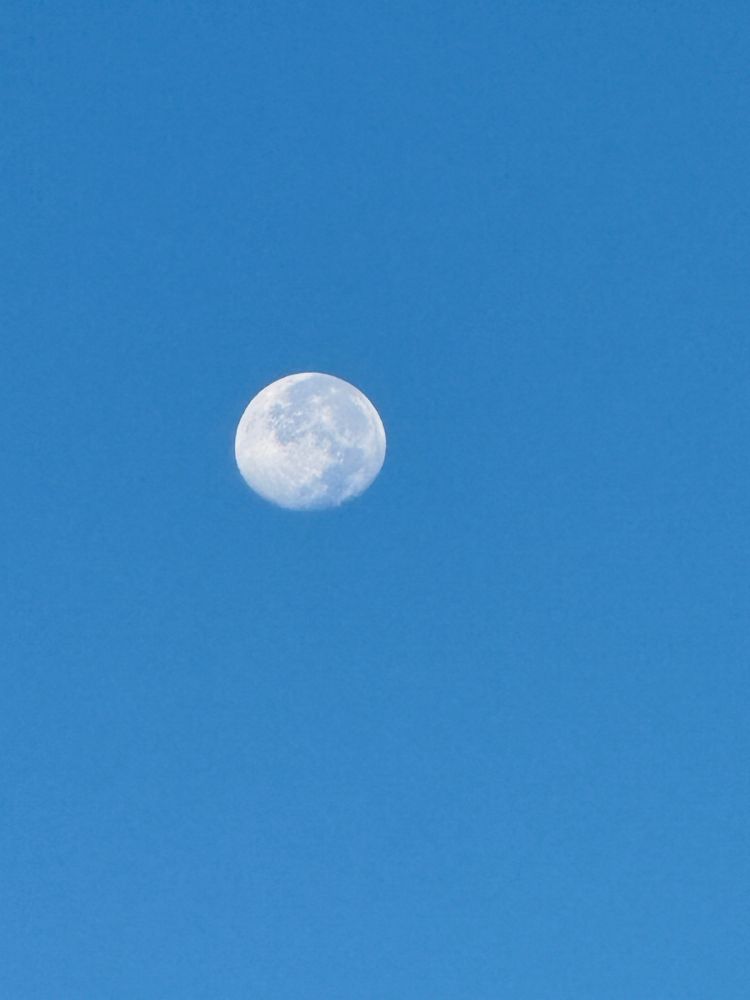The moon sits against an early morning blue sky 