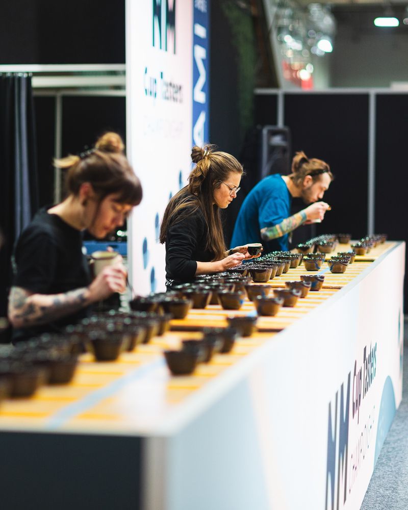 Tre personer med 24 kopper foran seg på et høyt bord, fra NM i Cup Taster. 