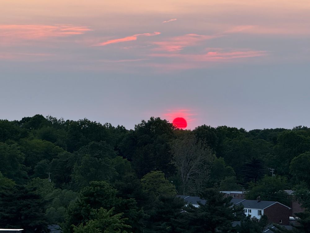 A sunset over a tree line. The sun is unnaturally red.