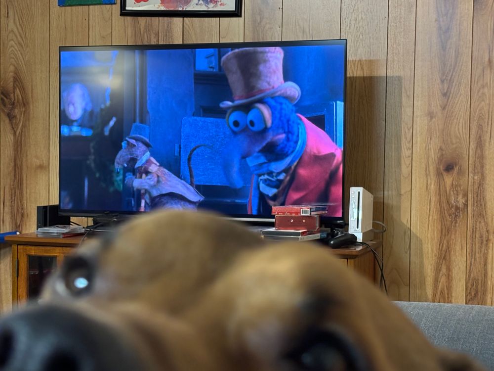 Dog’s face in front of tv showing A Muppet Christmas Carol