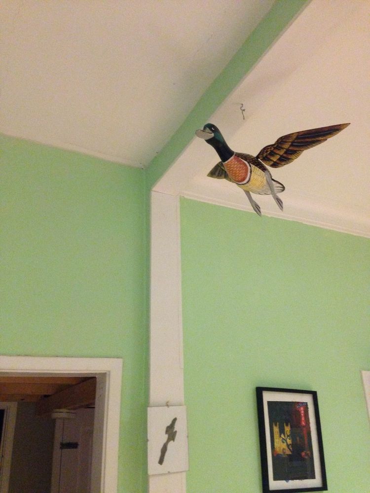 life sized painted wooden male mallard duck hanging from a ceiling hook