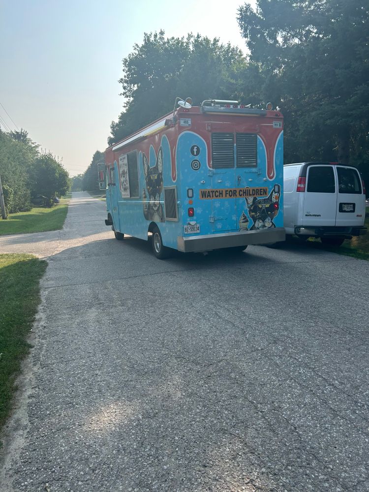 Ice cream truck driving down residential street (rear view with “watch for children”)