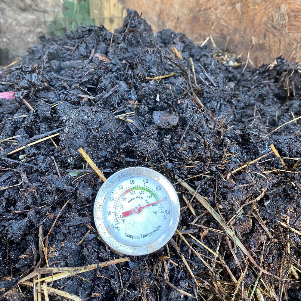 A close-up photo of dark crumbly compost in its thermophilic phase. Straw is visible in the foreground. A compost thermometer reads 70°C / 160°F.