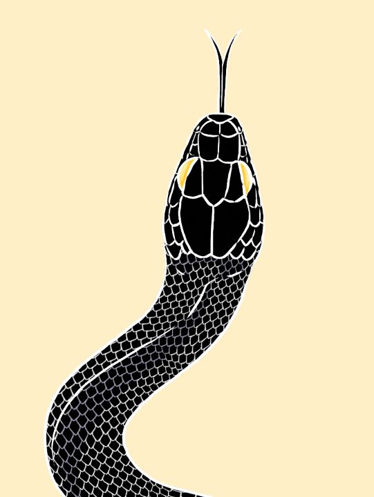 An illustration of the head and a short bit of the body of a black snake on a pale yellow background. The snake details area outlined in white and it has yellow eyes.