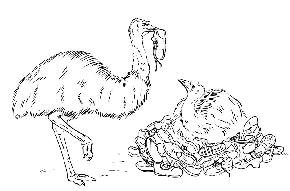 A black and white drawing of 2 emu. One emu is sitting on a nest made up of a large pile of left shoes of all sorts. The other is approaching with a shoe offering for the shoe pile. Peak emu romance.