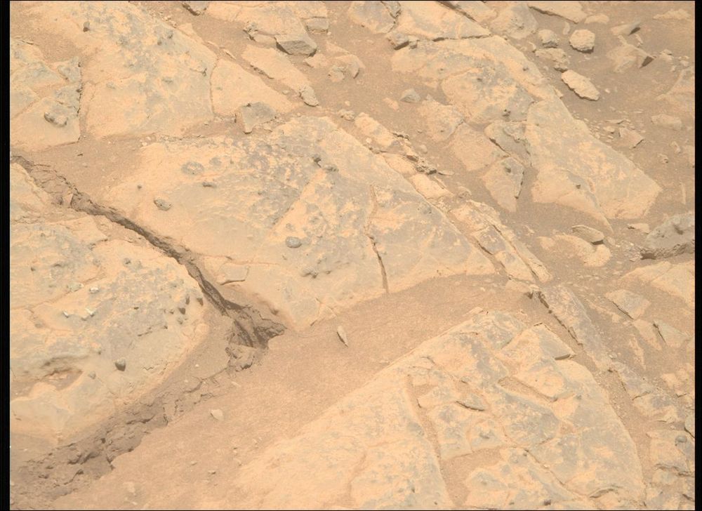 An image taken by the Perseverance rover on Mars