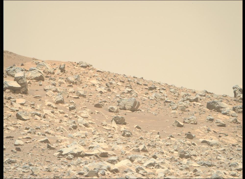 An image taken by the Perseverance rover on Mars