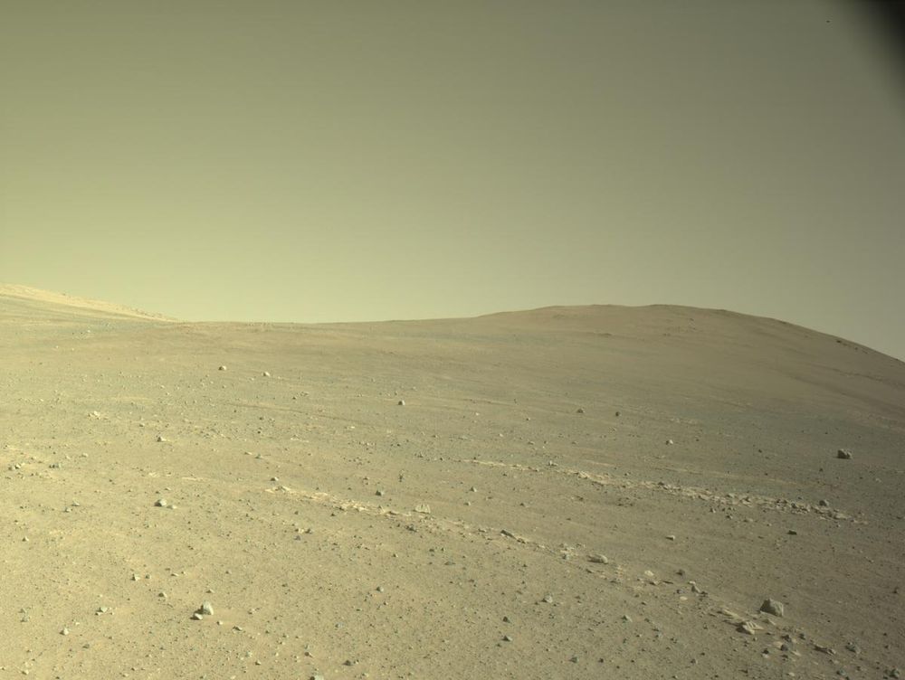 An image taken by the Perseverance rover on Mars