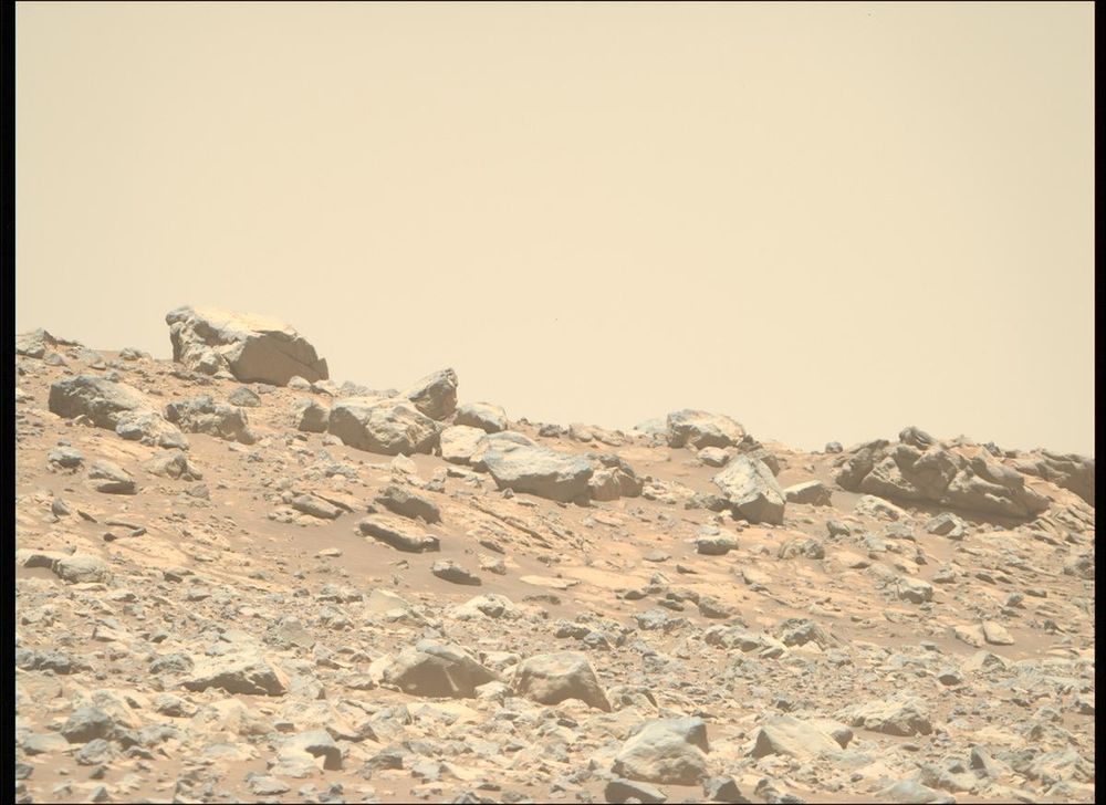 An image taken by the Perseverance rover on Mars