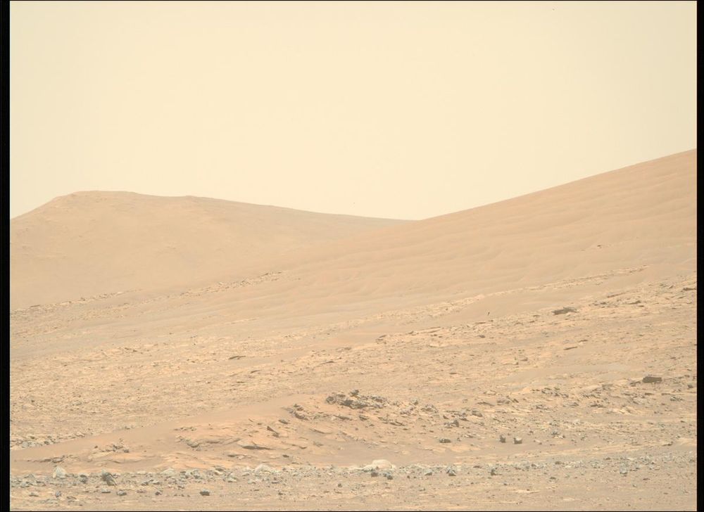 An image taken by the Perseverance rover on Mars